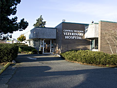 Veterinary Hospital Veterinary Hospital exterior